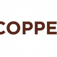 Copper NiTi