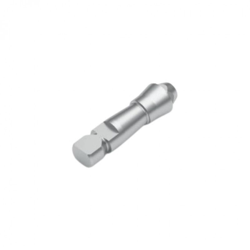 Analog For Permanent Abutment